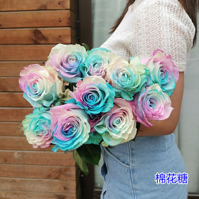 厄瓜多尔进口染色玫瑰花棉花糖10支
