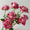 肯尼亚进口Flinders Lane弗林德巷多头玫瑰12支 商品缩略图4