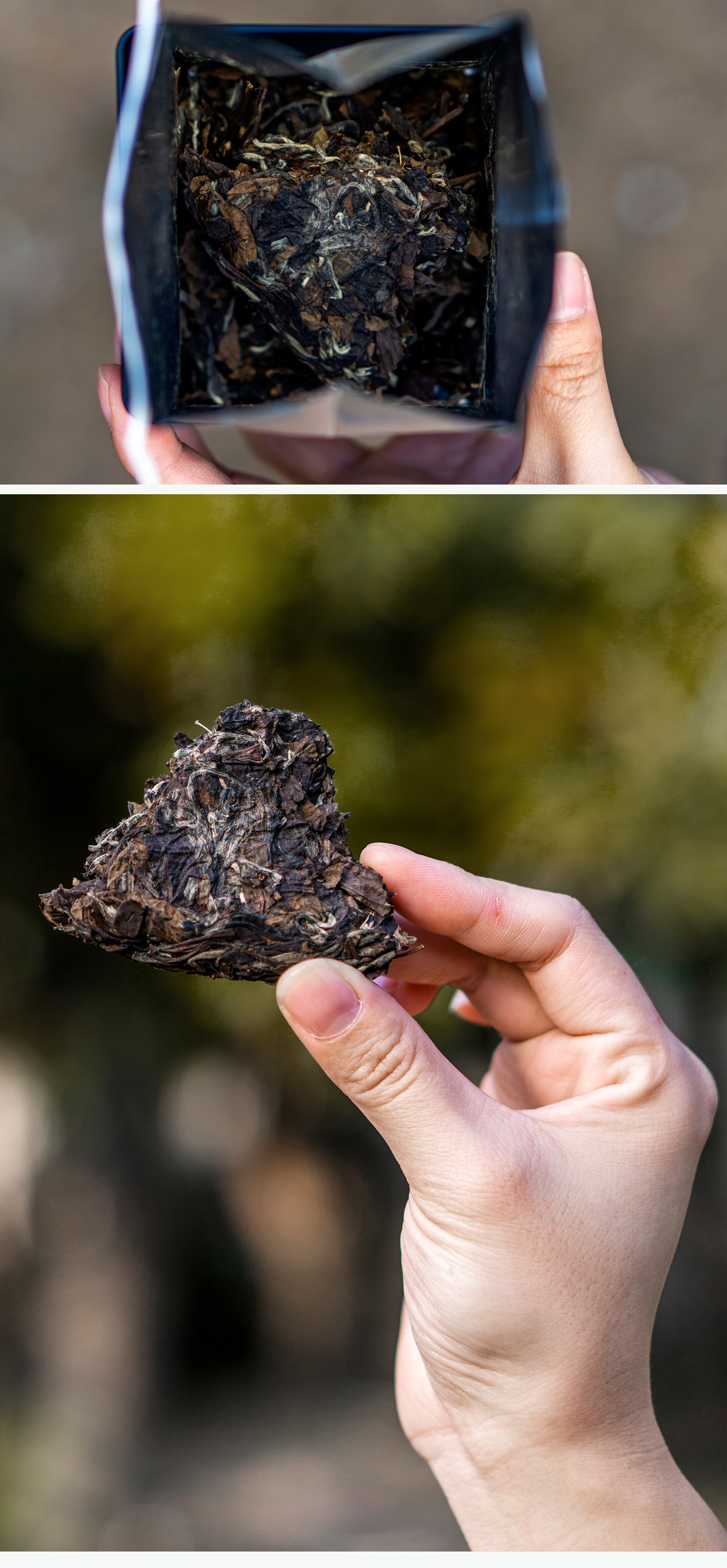 3136渐喜陈年寿眉饼2013年福鼎白茶磻溪出口级藏茶密室藏系列