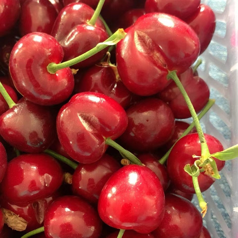 樱桃裂口同城购买