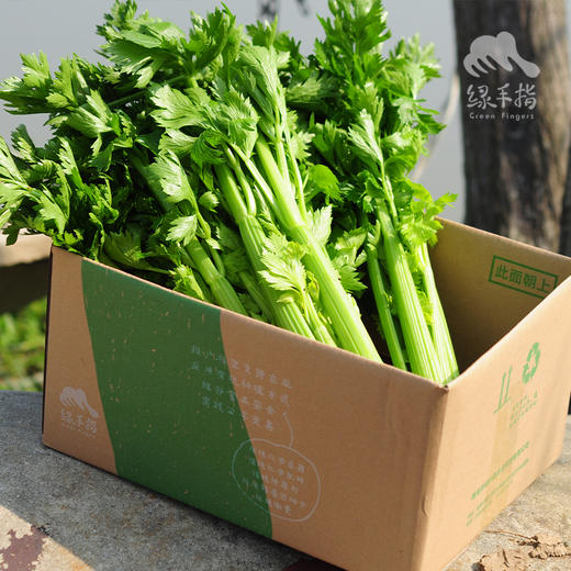 生态西芹 | 绿家自产*Eco-celery | Self-production 商品图2