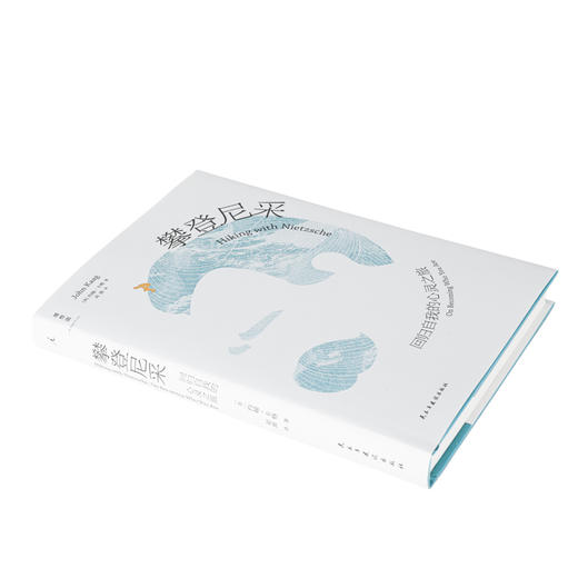 攀登尼采:回归自我的心灵之旅 [美]约翰·卡格 商品图3