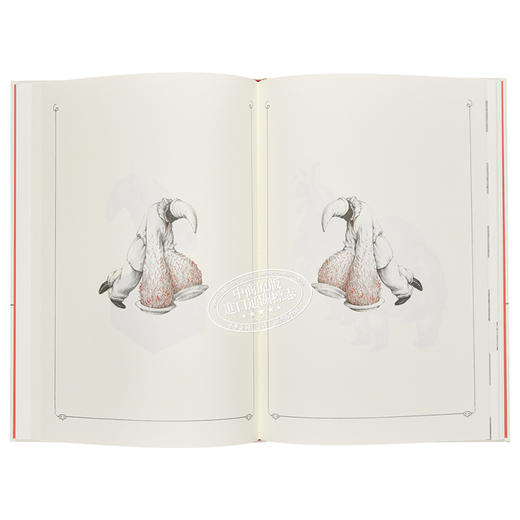 【中商原版】塞拉菲尼抄本:普钦内拉图集 英文原版 Pulcinellopaedia Seraphiniana 商品图5