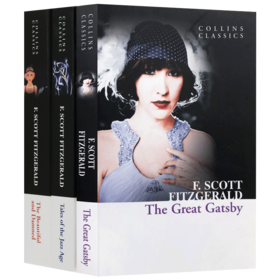Collins菲茨杰拉德作品集 The Great Gatsby 了不起的盖茨比 3册套装 美丽与毁灭 英文原版经典文学小说