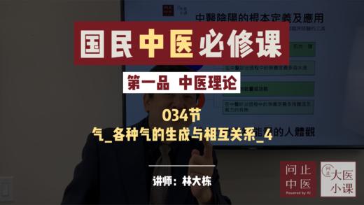 034精气血津液-气-各种气生成与相互关系4 商品图0