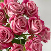 肯尼亚进口Flinders Lane弗林德巷多头玫瑰12支 商品缩略图2