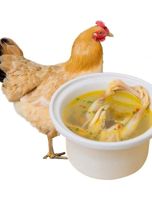 三黄鸡活杀（约500g） 商品图0