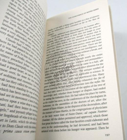 Collins巴黎圣母院 英文原版书 The Hunchback Of Notre-Dame 雨果 柯林斯经典文学 英文版进口英语书籍 商品图1