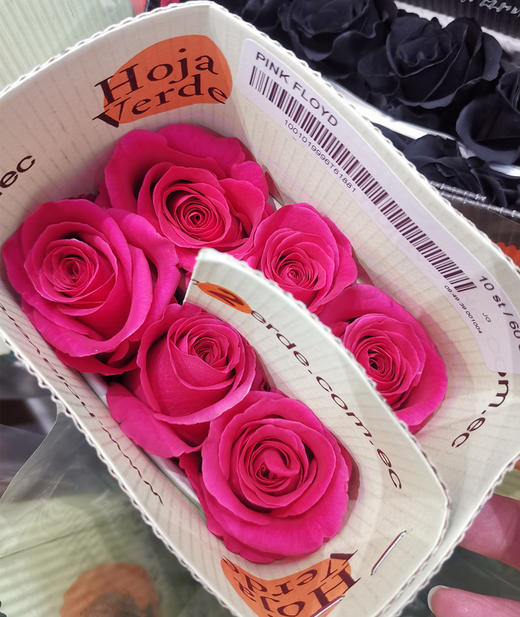 厄瓜多尔进口pink floyd弗洛伊德玫瑰花10支 商品图5