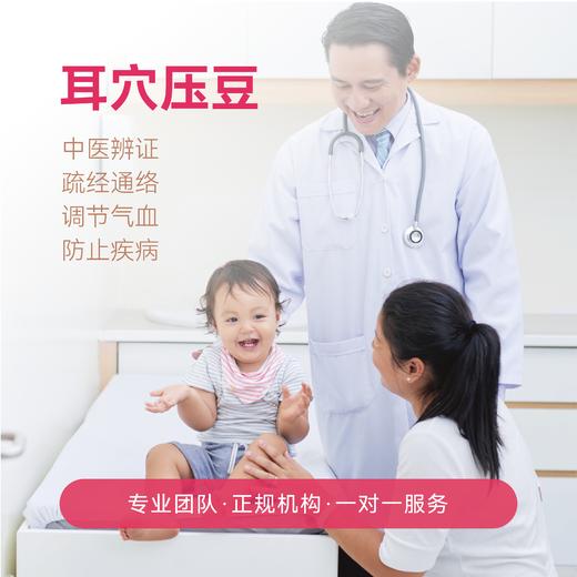 耳穴压豆 商品图0