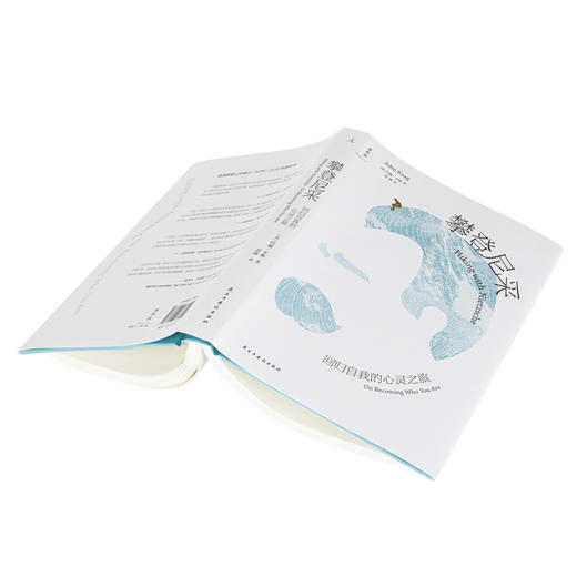 攀登尼采:回归自我的心灵之旅 [美]约翰·卡格 商品图4