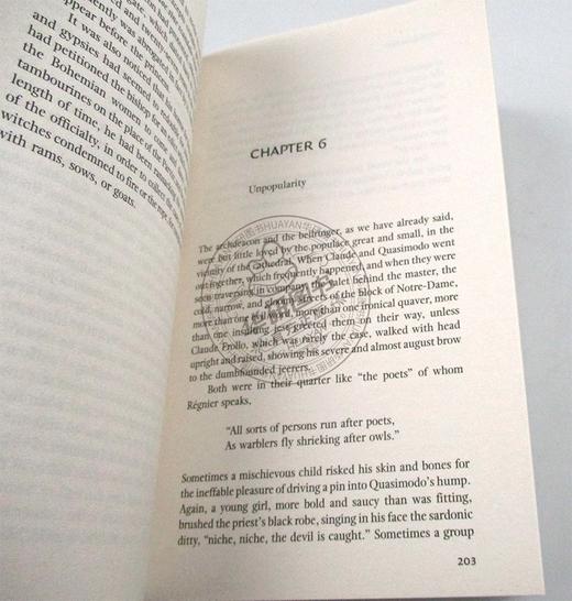 Collins巴黎圣母院 英文原版书 The Hunchback Of Notre-Dame 雨果 柯林斯经典文学 英文版进口英语书籍 商品图2