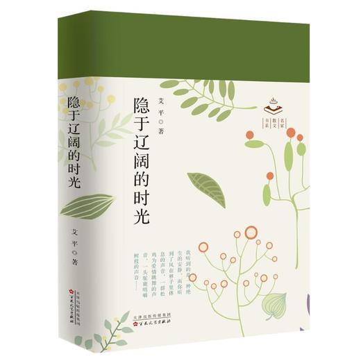 隐于辽阔的时光 商品图0