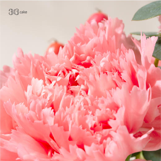 【福田宝安龙岗盐田已售完】康乃馨手提花礼，单拍不送 商品图3