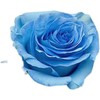 厄瓜多尔染色玫瑰Sky blue 冰雪王后 10支 商品缩略图4