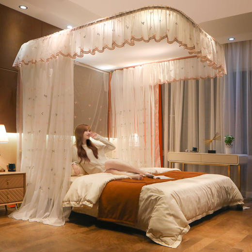 【公主轻奢风】蚊帐加密防尘窗帘布绣花可升降导轨蚊帐 商品图3