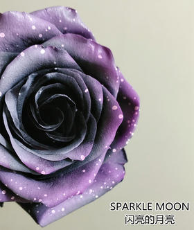 厄瓜多尔染色玫瑰SPARKLE MOON闪亮的月亮10支