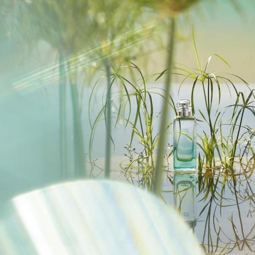 【中欧班列精选】Hermes爱马仕尼罗河花园淡香香水30ml/50ml/100ml1LPY 商品图2