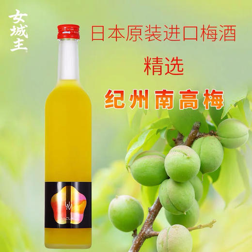 日本女城主 梅子酒  柚子酒  果酒  500ml  酸甜美味-会员5折 商品图0