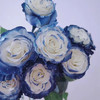 厄瓜多尔染色玫瑰milkyway银河10支 商品缩略图2