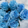厄瓜多尔染色玫瑰Sky blue 冰雪王后 10支 商品缩略图2