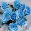 厄瓜多尔染色玫瑰Sky blue 冰雪王后 10支 商品缩略图0