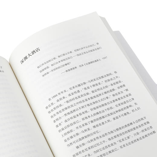 攀登尼采:回归自我的心灵之旅 [美]约翰·卡格 商品图6