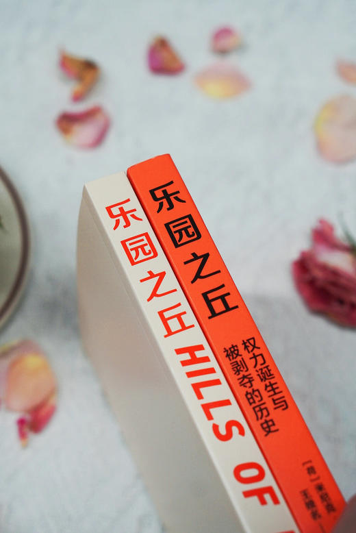 乐园之丘:权力诞生与被剥夺的历史   [荷]米尼克·希珀/著   王晚名/译  女性主义  男女平等  父权制  神话  广西师范大学出版社 商品图4