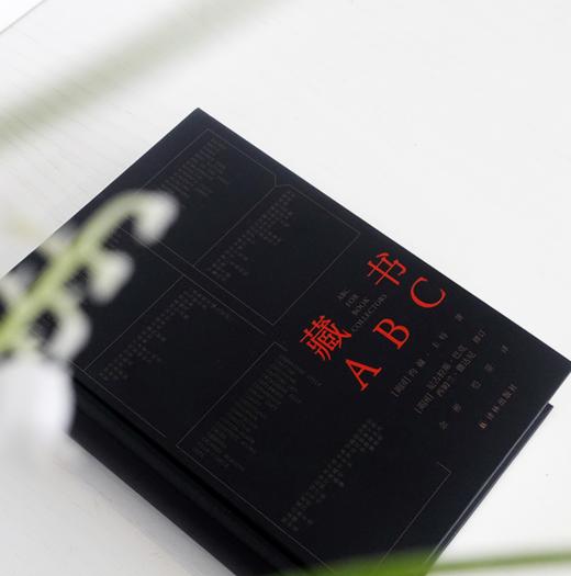 藏书ABC  藏书指南、词条汇编、书藏书爱好者参考书 商品图1