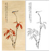 张大千竖幅工笔花鸟白描底稿《红叶青禽》临摹勾线高清打印稿QD29 商品缩略图0