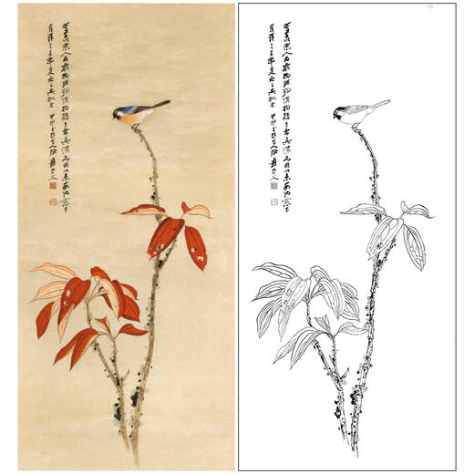张大千竖幅工笔花鸟白描底稿《红叶青禽》临摹勾线高清打印稿QD29 商品图0