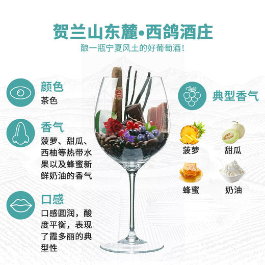 西鸽N28霞多丽干白葡萄酒 商品图2