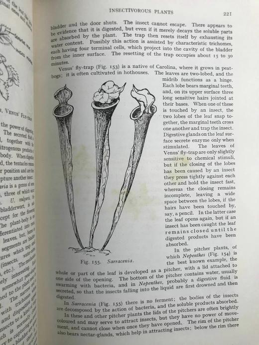植物学教材 410幅插图 精装大32开 商品图13