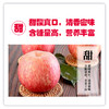 【长房物业×喵山果】刘家峡富士苹果（9斤） 商品缩略图2