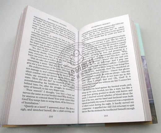 Collectors Library系列 呼啸山庄 英文原版 Wuthering Heights 经典文学名著 英文版原版书籍 艾米莉勃朗特 进口英语书 商品图2