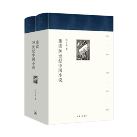 《重读20世纪中国小说(精装全二册)》许子东著