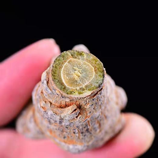 【文山20头春三七】有机种植 个大饱满 纯滑头无剪口 商品图2