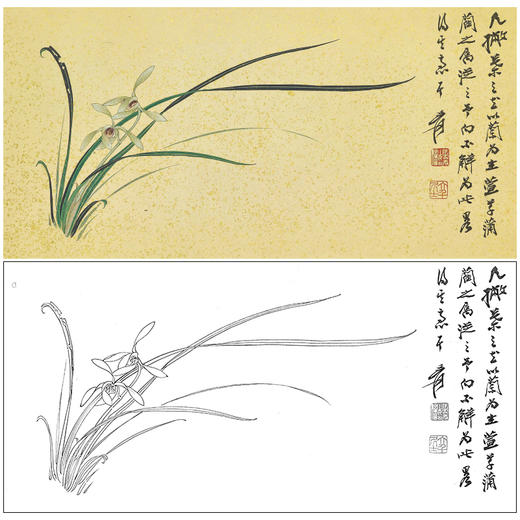 张大千横幅工笔花鸟白描底稿《兰花》临摹勾线高清打印稿QD25 商品图0