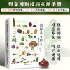 图解养生野菜速查全书 全新升级版 商品缩略图3