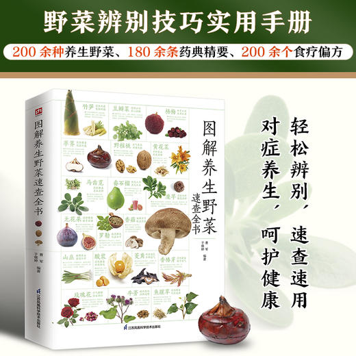 图解养生野菜速查全书 全新升级版 商品图3