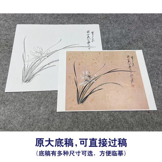【大彩图】张大千工笔画白描底稿小品《斗方小品册页》兰花临摹勾线花鸟线稿QD24 商品图1