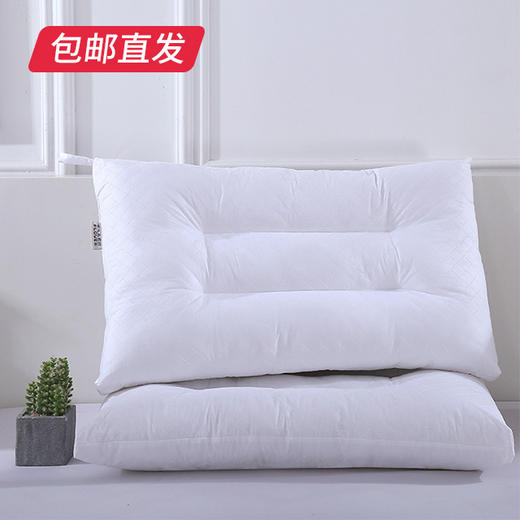 啄木鸟纯棉枕芯-单只40*60*10cm（包邮直发） 商品图0