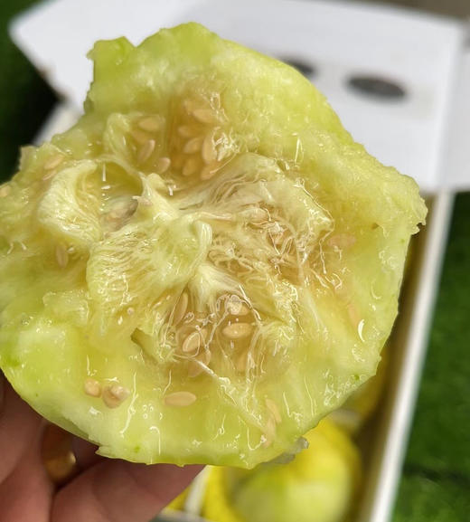 【国家地标水果】马连庄小甜瓜，一级产地，通过国家194项SGS农残检测，洗洗放心带皮吃，集香甜脆于一身，完美！ 商品图1