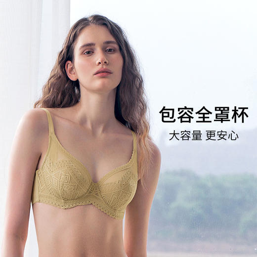 HSIA遐大胸显小内衣女轻薄款全罩杯上托胸罩波米几何性感蕾丝文胸 商品图2