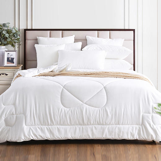 多喜爱--抗菌四季被--《德克抗菌舒柔被 》 商品图0