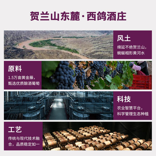 西鸽N28马尔贝克干红葡萄酒  整箱750ml*6 商品图2