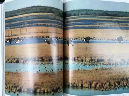 1972年上半年合订本 国家地理杂志 约千幅彩色插图 精装16开 商品图11