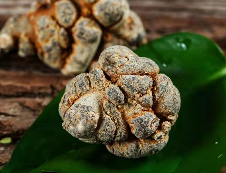 【文山20头春三七】有机种植 个大饱满 纯滑头无剪口