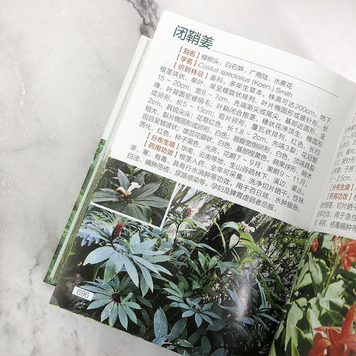 800种中草药图鉴 商品图7
