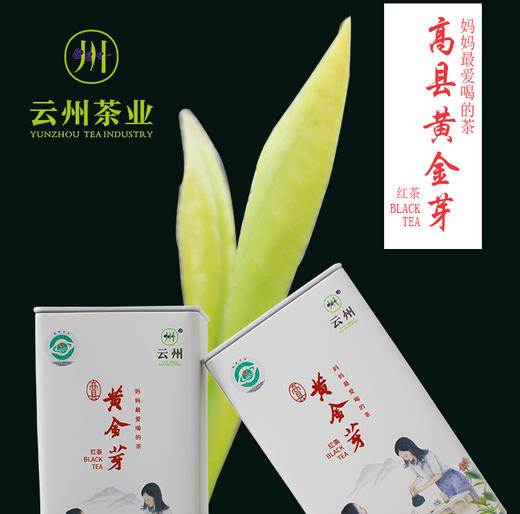 高县云州茶叶黄金芽红茶 100克/罐 128元 包邮 商品图0